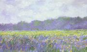 Claude Monet Field of Yellow Iris at Giverny oil on canvas